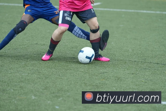 B体育APP 封面图